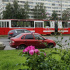 Жара вывела из строя трамвайные пути на Васильевском острове